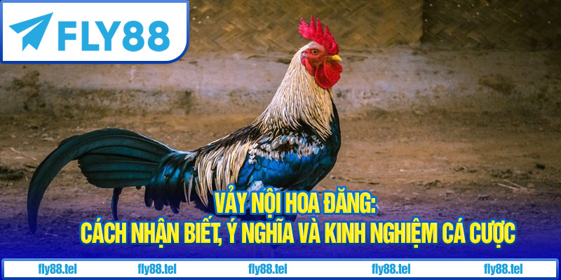 Vảy Nội Hoa Đăng: Cách Nhận Biết, Ý Nghĩa và Kinh Nghiệm Cá Cược 1 Vảy nội hoa đăng